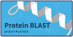 NCBI BLAST button-s