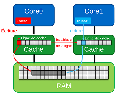 fig3 lignes cache-s