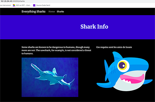 shark-app-access-s